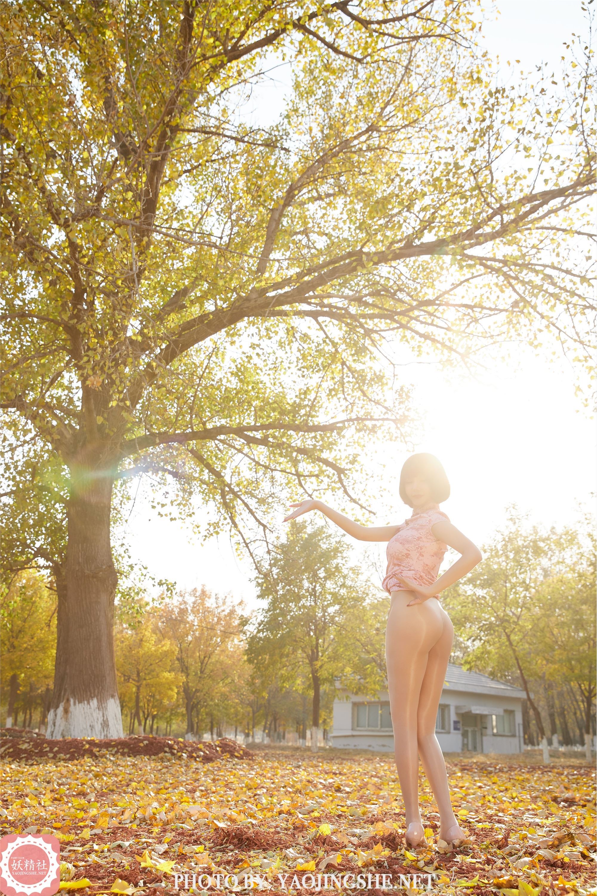 妖精社  2021.01.24 T2103《太极小宗师》唐飞飞